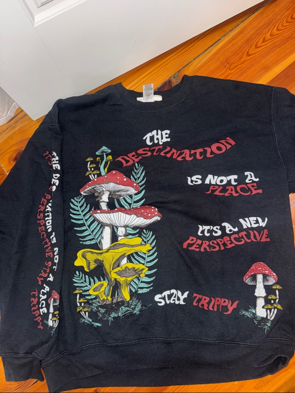 Urban Outfitters Black 'The Destination' Mushroom Graphic Sweatshirt